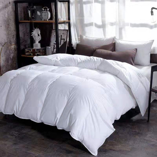 Couette en Duvet, Hiver Couette, Duvet d'oie Couette Core, Climatiseur