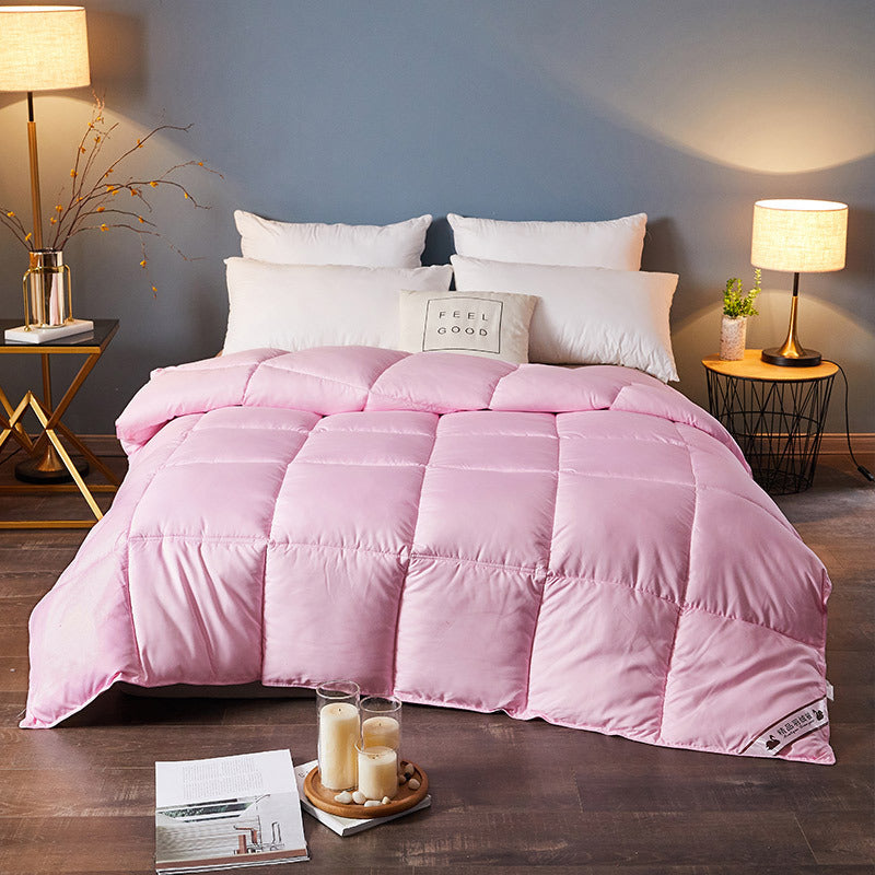 Couette en Duvet, Hiver Couette, Duvet d'oie Couette Core, Climatiseur