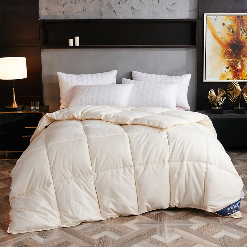 Couette en Duvet, Hiver Couette, Duvet d'oie Couette Core, Climatiseur