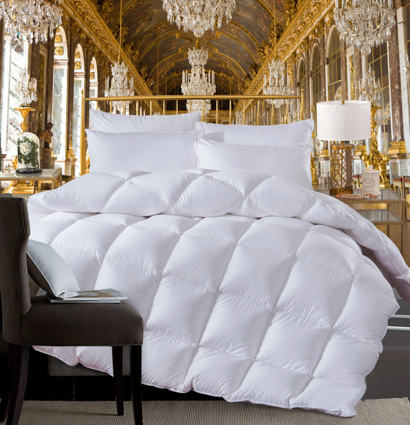 Couette en Duvet Cinq Étoiles Hôtel 95 Blanc Duvet d'oie Couette Duvet de Canard